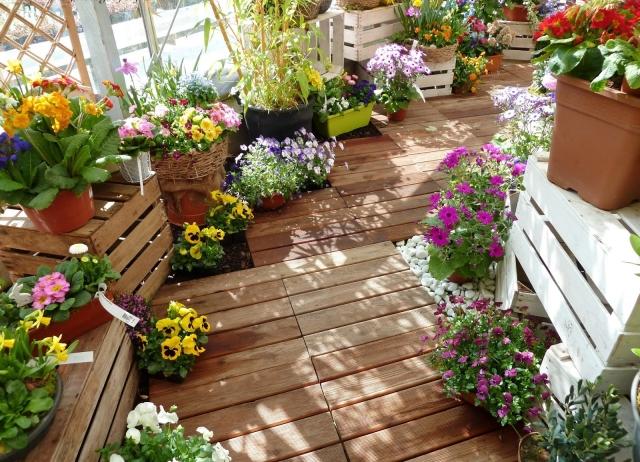 Balkongväxter väljer kombinationer av färgglada trägolvplattor
