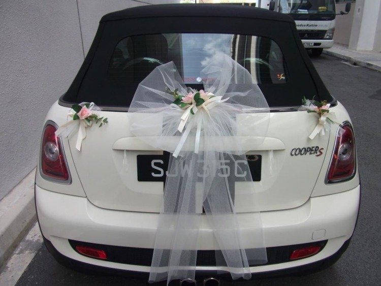 Bilsmycken-bröllop-vit-rosett-idéer-i ryggen