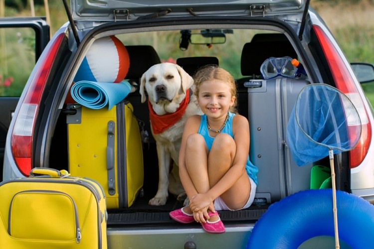 bilspel-barn-bil-bagage-bagage-full-flicka-hund-boll-matta-simning-däck-dykglasögon