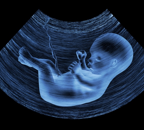 ανάπτυξη του μωρού κατά τη διάρκεια της εγκυμοσύνης