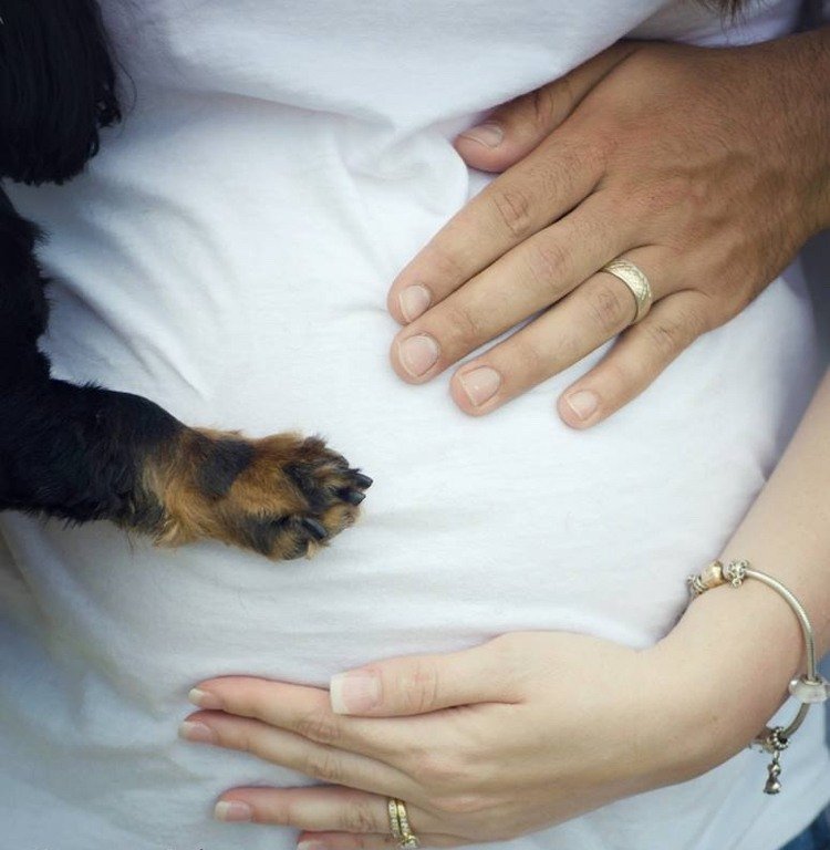 baby bump foton-gör-det-själv-graviditet-foton-idéer-tips-med-hund-tass