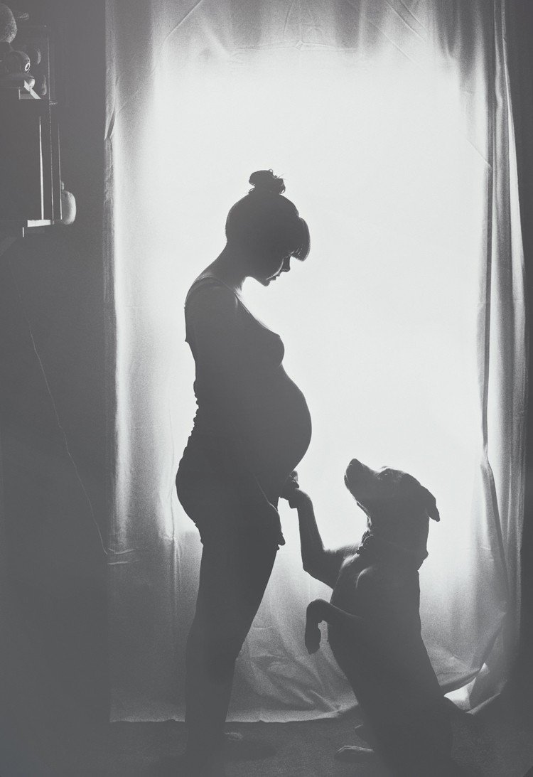 Gör babybumpfoton själv -graviditetsbilder-idéer-tips-svart-vitt-med hund