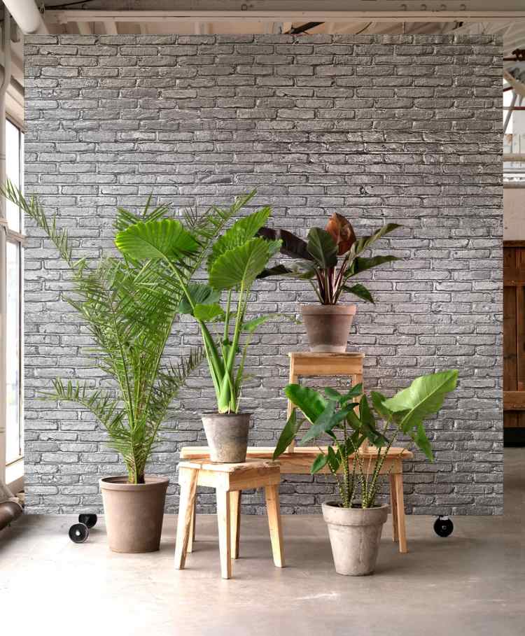 tegel-tapet-vägg-design-silver-grå-vägg-dekoration-växter-fräsch-grön