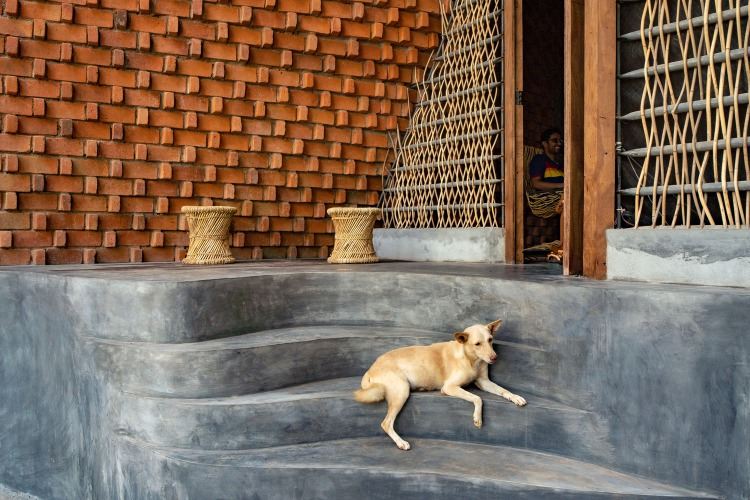 liten hund ligger på trappor gjorda av ferrocement framför ett hus med vävd bambu som en sekretessskärm
