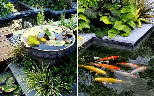 Trädgårdsdamm fisk-koi karp-design burgbad-sanctuary-trädgård badrum