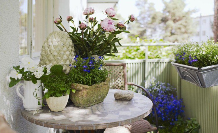Balkongdekoration blommor Campanula pioner mosaikbord