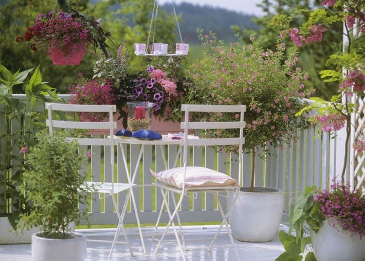 Balkonger vita metallstolar rosa blommande blommor