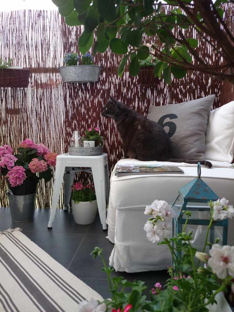 vita omslag möbler balkong bambu mattor metall pall pelargoner
