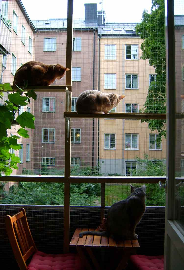 Skyddsgaller för katter balkongtrådshyllor