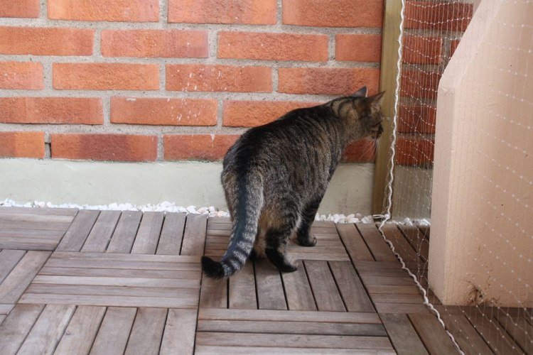 balkong för katter säkra ett nät av vitt prydnadsgrus