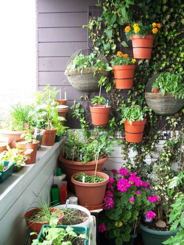 Trädgård-på-balkong-vertikalt-ordna-blommor-ordna-dekoration