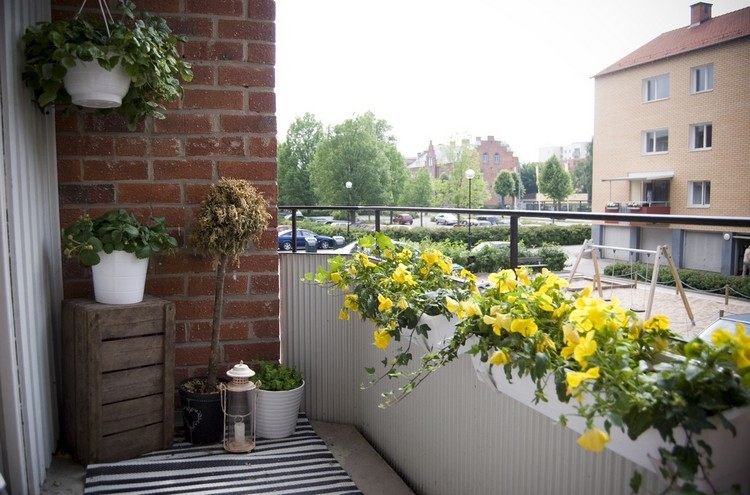 balkong-design-tips-vita-blomma-lådor-gul-blommande-växter