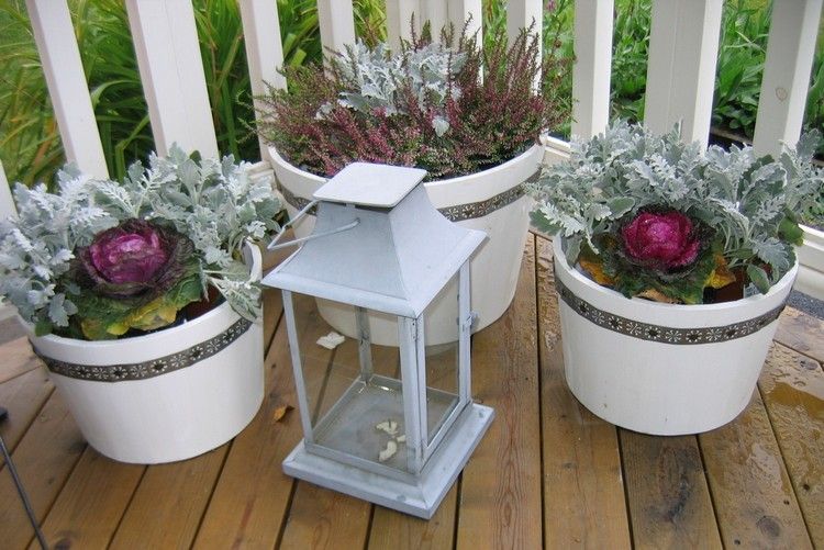 balkong-höst-dekorera-idéer-vit-planter-kål-ljung