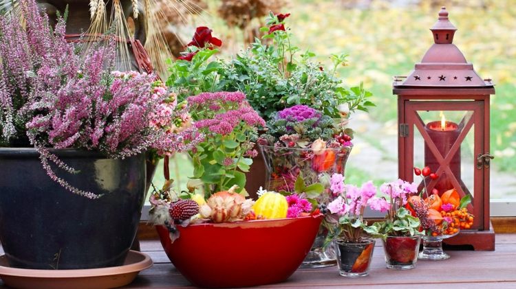 balkong höstlig dekorera lavendel lykta romantiska blommor