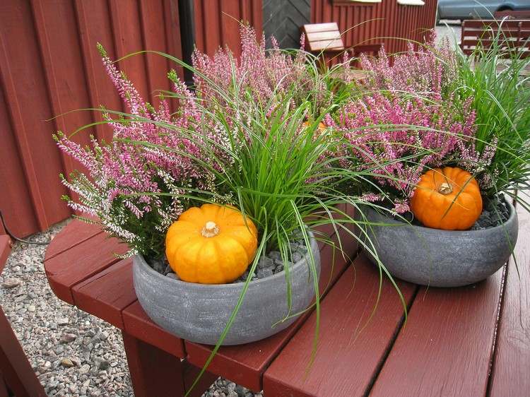 balkong-höst-dekorera-eriken-prydnads-gräs-mini-pumpa-skål