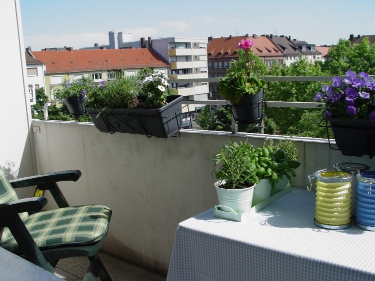 balkong-växter-örter-blommor-planter
