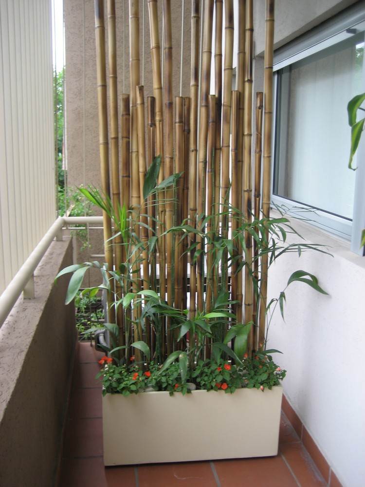 Balkong sekretess skärm-växter-planter-bambu stolpe-vägg