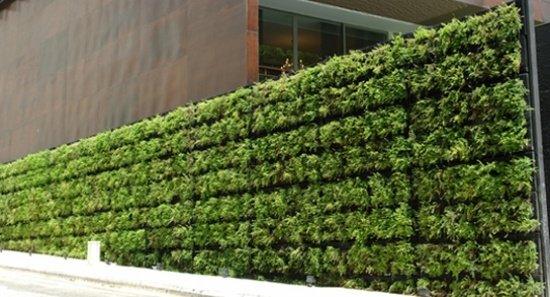 Grön väggidéer-vind integritetsskärm terrass