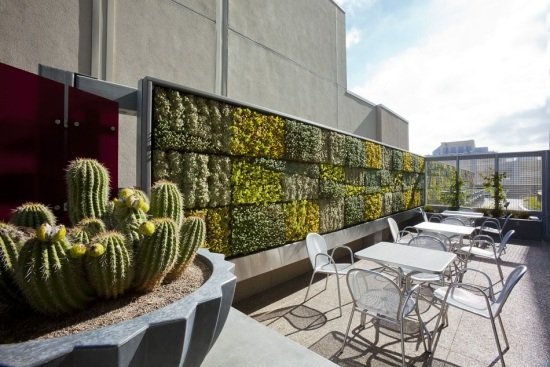 Trädgårdsskötsel tak balkong takterrass grön vägg