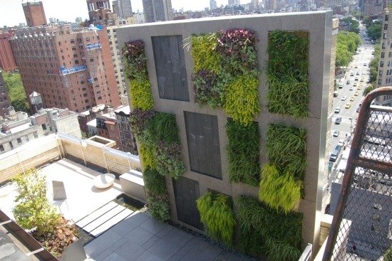 Balkong integritet skärm-vindskydd idéer-vertikal trädgård