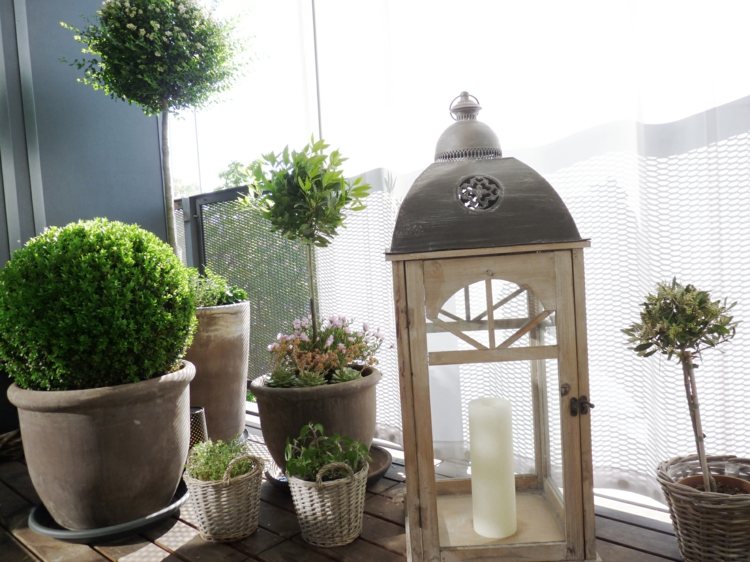 idéer balkongväxter inredning lykta boxwood inspiration ljus
