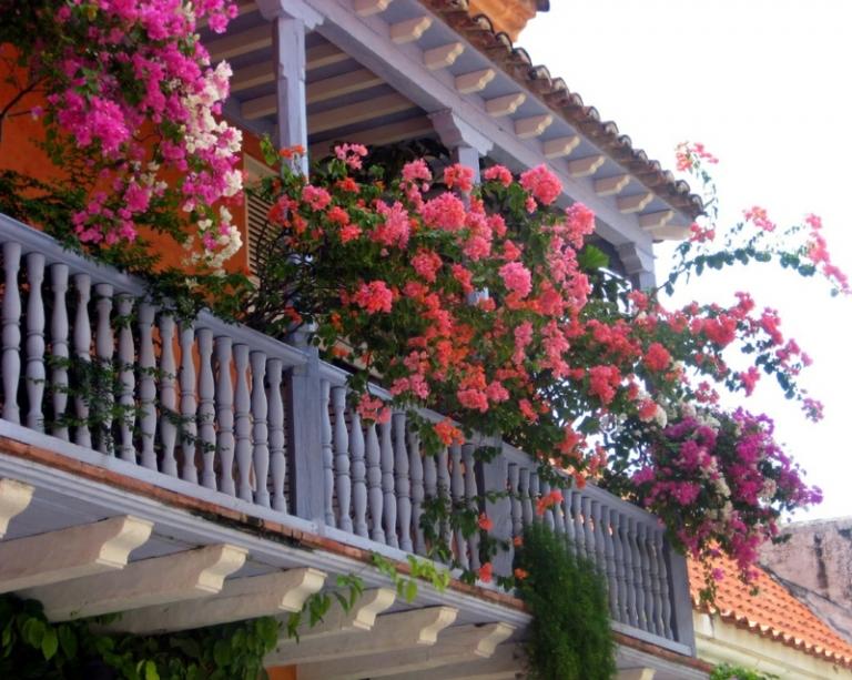balkong-blommor-för-soliga-platser-rosa-röda-blommor-trä-räcken