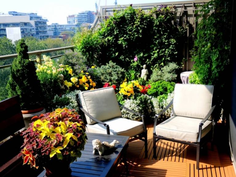 balkongblommor för soliga platser-gröna växter-exotisk atmosfär