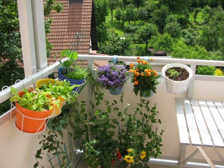 balkong-blommor-för-soliga-platser-balustrader-krukor-färgglada-färger-trä-bord