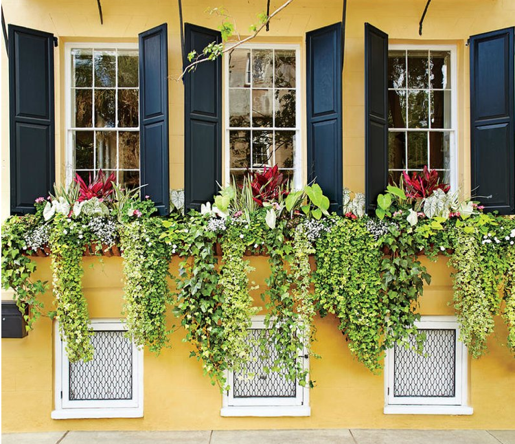 Plantera balkonglådor, tipsa om att plantera korrekt