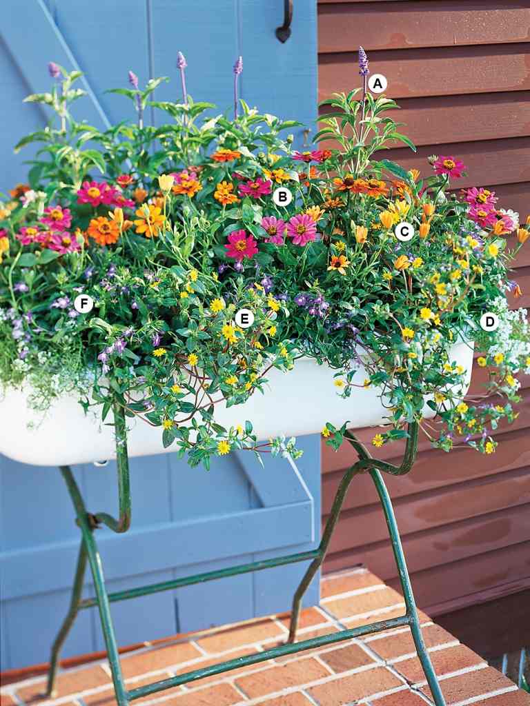 Färgglada balkongväxter för bin som zinnia, salvia, lobelia i en stående blomlåda