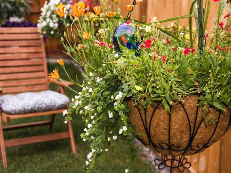 Balkongväxter för sommar och soliga hängande växter idéer