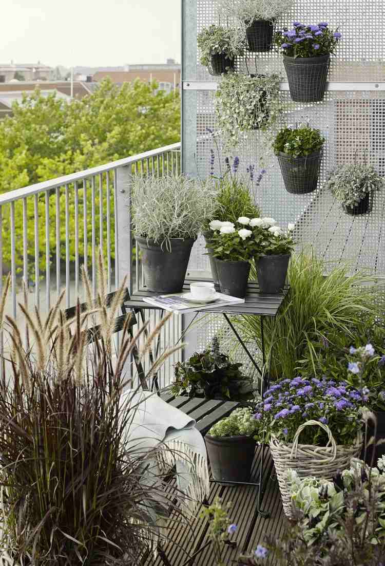 Balkongväxter vitblå kombination av prydnadsgräs