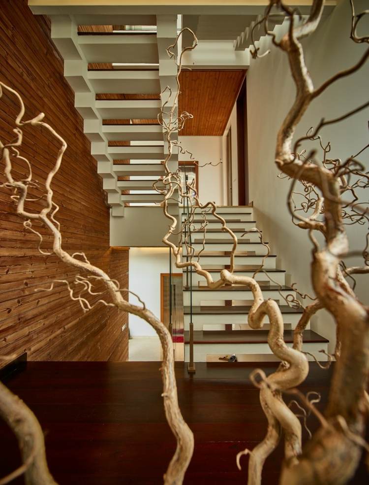 bangkirai-trä-korridor-trappa-modern-väggbeklädnad-glasräcken