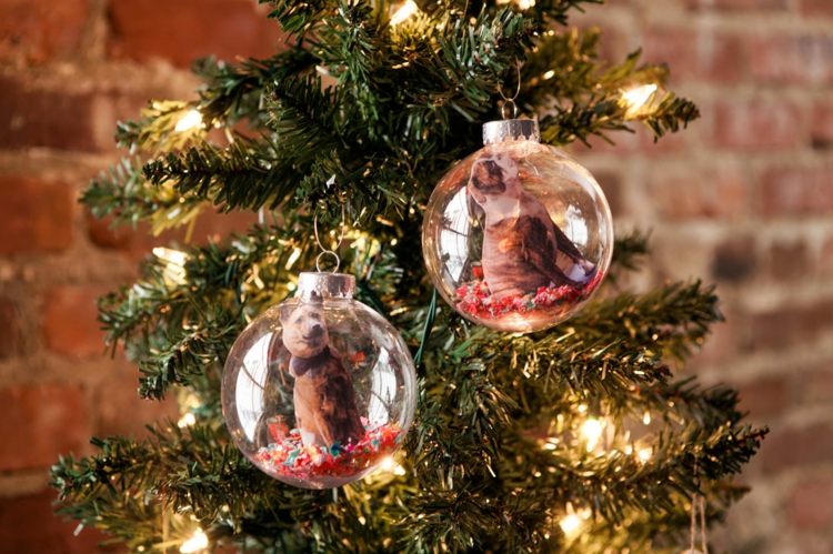 hantverk idéer för jul transparent boll foto dekoration julgran