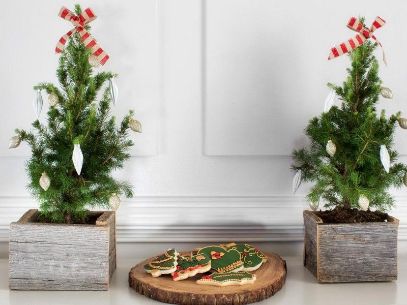 Hantverk-vuxna-jul-gran-träd-kruka-dekorera-bord dekoration