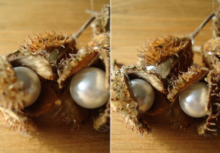 tinker med beechnuts vita pärlor elegant dekoration