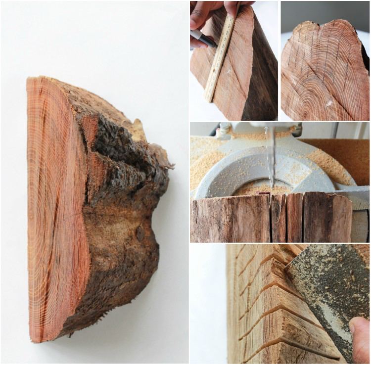 tinker-wood-old-forest-creative-instructions