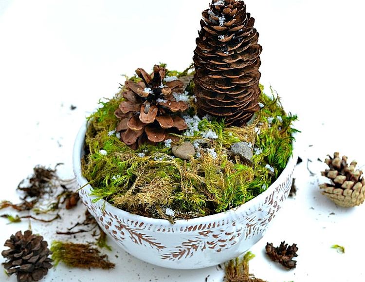 Gör hantverk med stora kottar själv terrarium från kottar och mossa i en tekopp