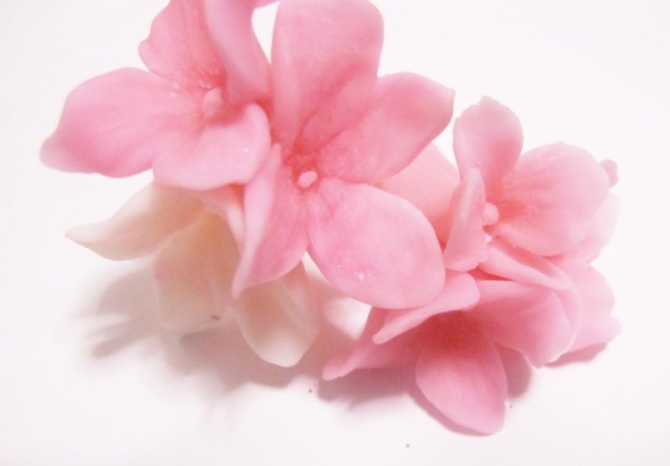 tinker-modellering-lera-gör-själv-blomma-kallt-porslin-rosa-ömt