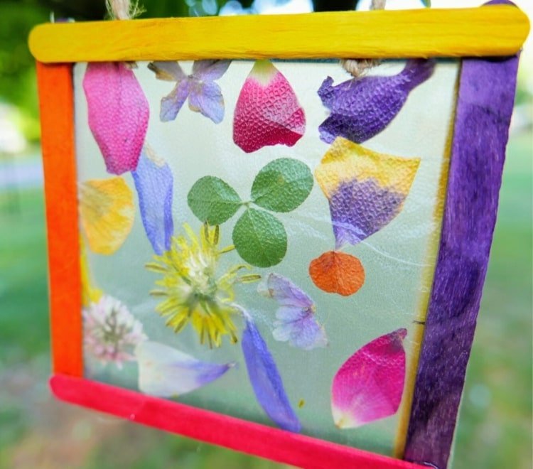 Suncatchers gör hantverk med naturmaterial på sommaren av färgglada blomblad och klöver