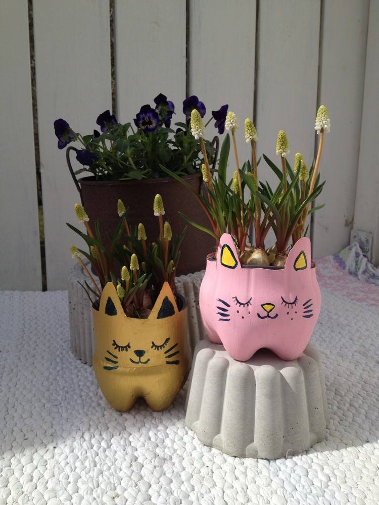 Tinkering med PET-flaskor katter-blomma-behållare-pärlhyacinter