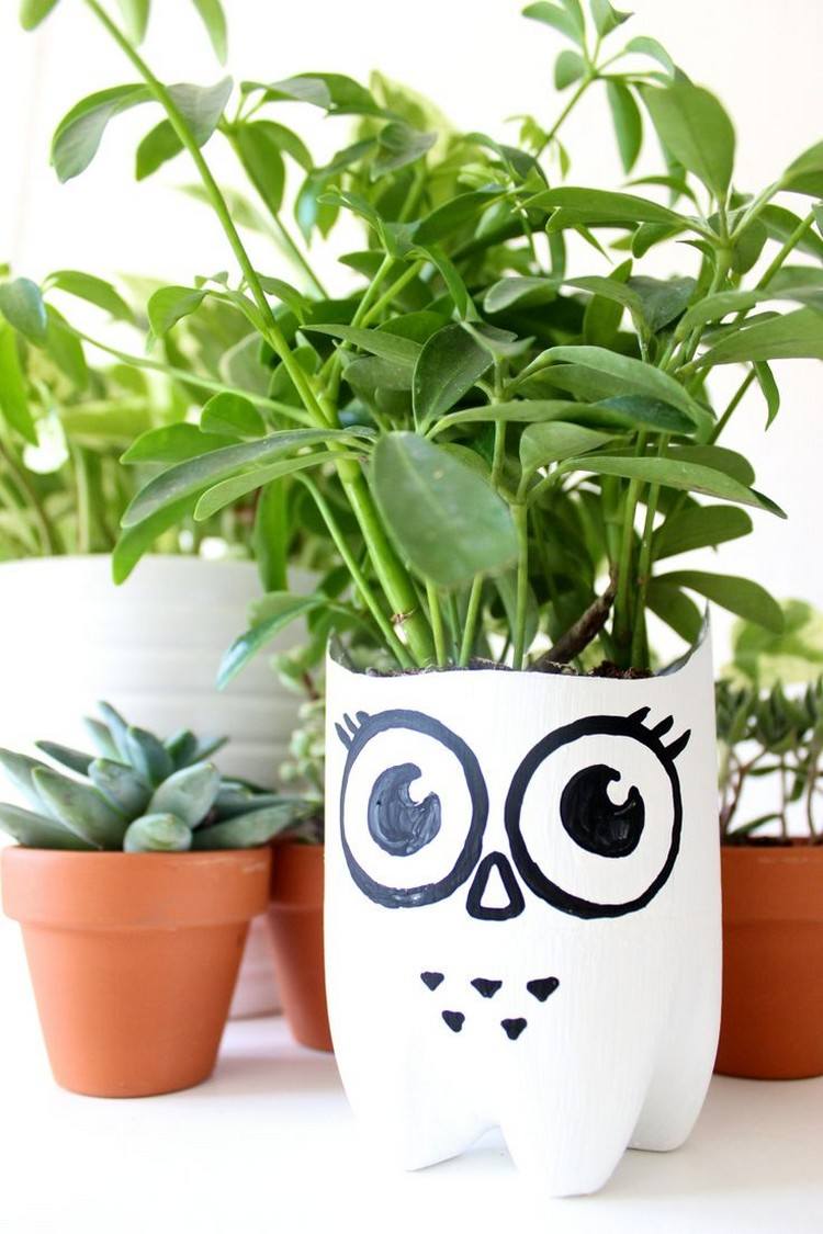 tinker-pet-flaskor-planter-uggla-färg