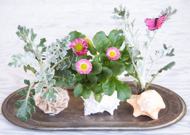 tinker-snigel-skal-mini-trädgård-vaser-idé
