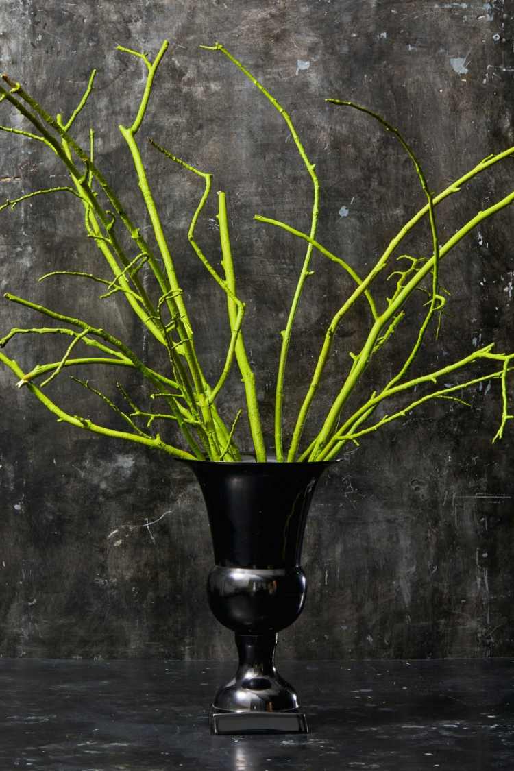 Puristisk bukett grenar i grönt i en vas som en hemgjord dekoration