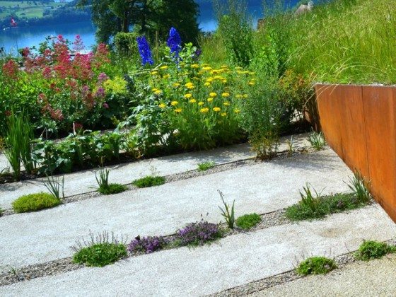 Gårdsträdgård moderna prydnadsväxter perenner öppna utrymme arkitektur