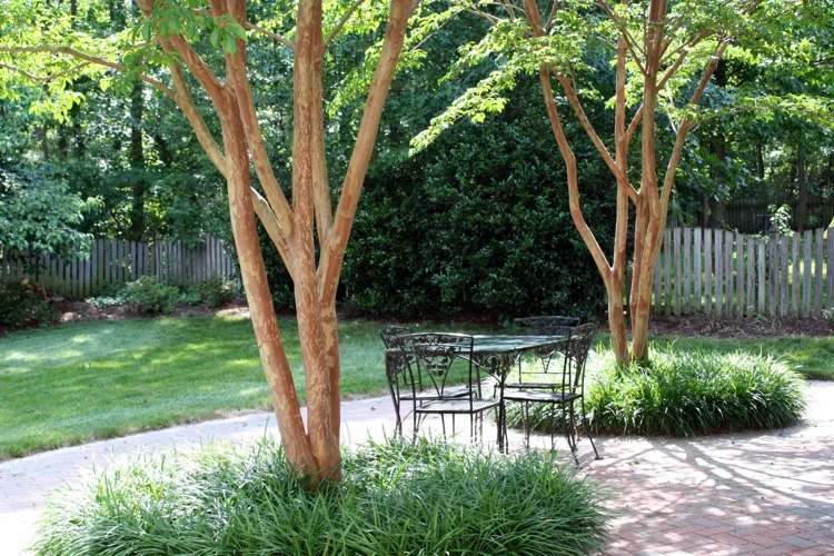 Träd som skuggleverantör för terrassen och sittplats i trädgården. Tips
