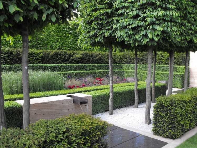 Espalier -träd ger skugga till terrassen och trädgården