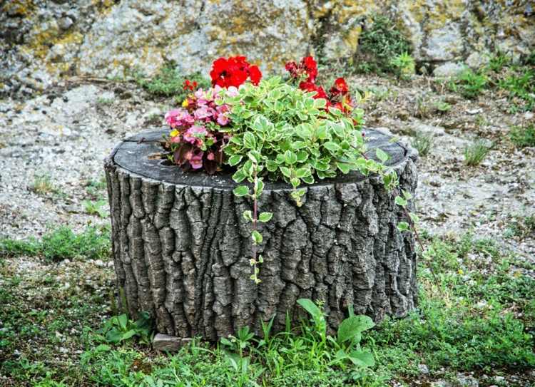 Idé för trädstubbar - plantera blommor som dekoration