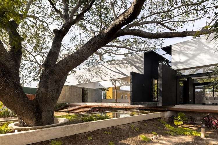 integrera trädbyggnad med träd modern design terrass trädgård utomhusområde arkitektur drömhus naturmiljö trätrappa