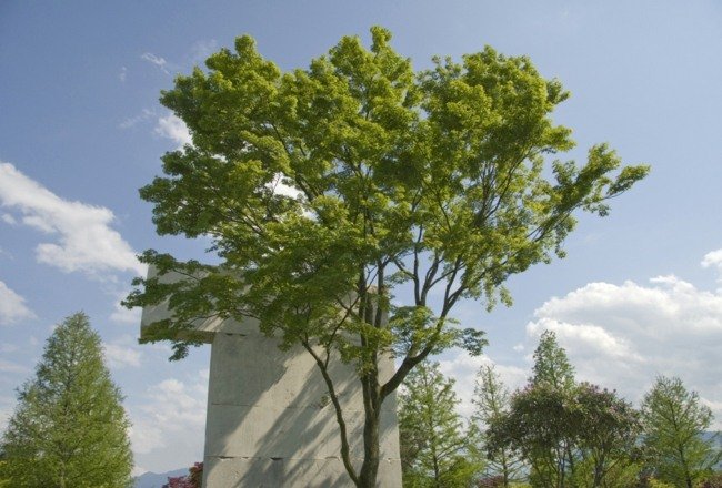 Schweiz naturpark besök idéer